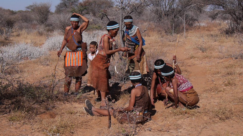 botswana, bushman, group